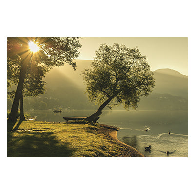 Tablou canvas peisaj "Duck green"