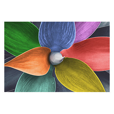Tablou canvas cu flori "What color"