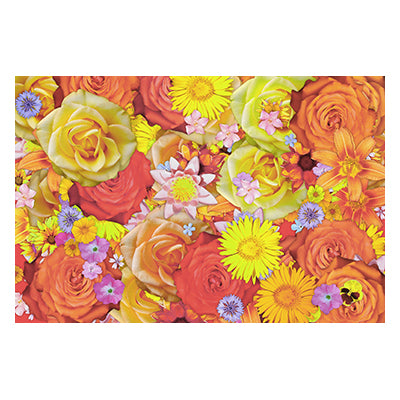 Tablou canvas cu flori "Color dolor"