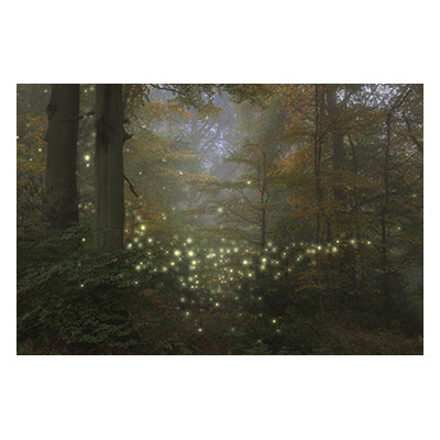 Tablou canvas peisaj "Firefly road"